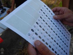 2016-09-04 Operação Vida Por vida