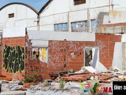 2017-06-04 Moscow o Renascer