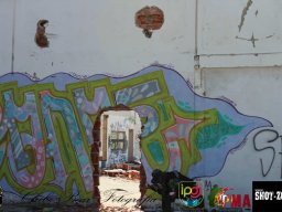 2017-06-04 Moscow o Renascer