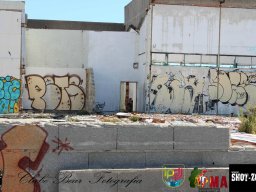 2017-06-04 Moscow o Renascer