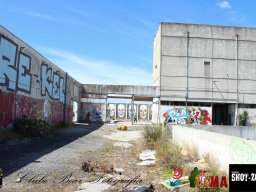 2017-06-04 Moscow o Renascer