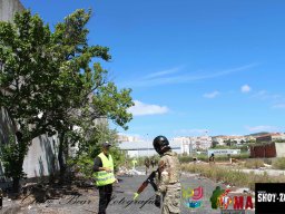 2017-06-04 Moscow o Renascer