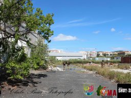 2017-06-04 Moscow o Renascer