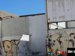 2017-06-04 Moscow o Renascer