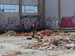 2018-01-01 a 2018-12-31 - Jogos treino no Campo Bear CQB