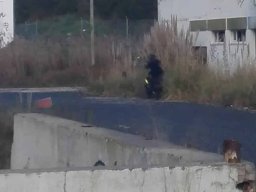 2018-01-01 a 2018-12-31 - Jogos treino no Campo Bear CQB