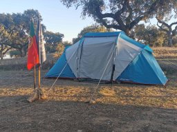 2023-09-29 SALAMANDRA II