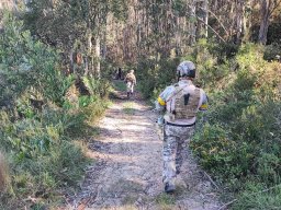 2025-03-30 RAVEN FLASGAME