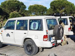 2026-04-12 Lost Signal (BA6)