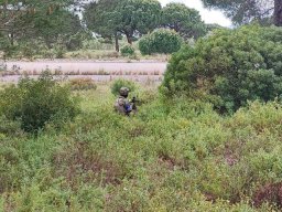 2026-04-12 Lost Signal (BA6)