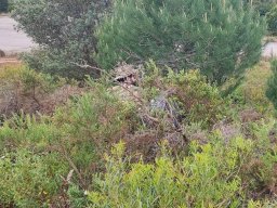 2026-04-12 Lost Signal (BA6)