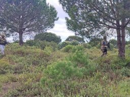 2026-04-12 Lost Signal (BA6)