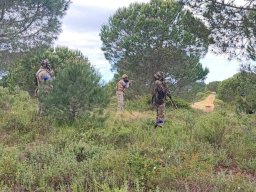 2026-04-12 Lost Signal (BA6)