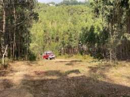 Varias Jogos e Eventos