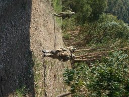 Varios Jogos e Eventos