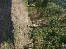 Varios Jogos e Eventos