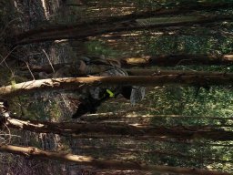 Varios Jogos e Eventos