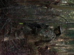 Varios Jogos e Eventos