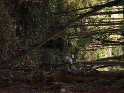 Varios Jogos e Eventos