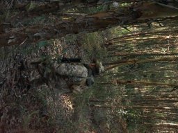 Varios Jogos e Eventos