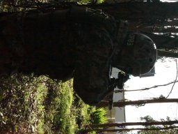 Varios Jogos e Eventos