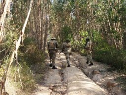 Varios Jogos e Eventos