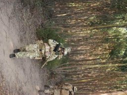 Varios Jogos e Eventos