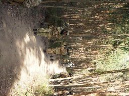 Varios Jogos e Eventos