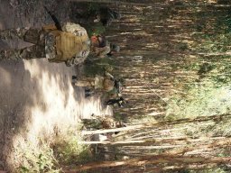 Varios Jogos e Eventos