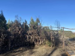 Varias Jogos e Eventos