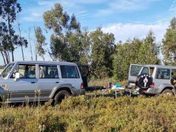 Varias Jogos e Eventos