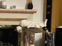 Varias Jogos e Eventos