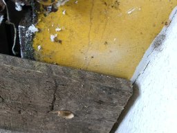 Varias Jogos e Eventos