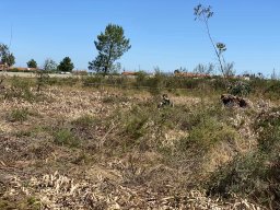 Varias Jogos e Eventos