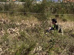 Varias Jogos e Eventos