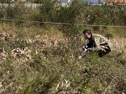 Varias Jogos e Eventos