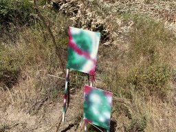 Varias Jogos e Eventos