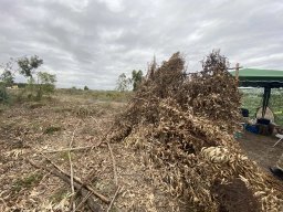 Varias Jogos e Eventos