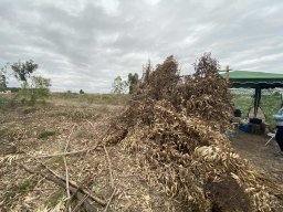 Varias Jogos e Eventos