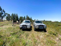 Veiculos Tácticos BEAR