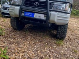 Veiculos Tácticos BEAR