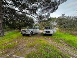 Veiculos Tácticos BEAR