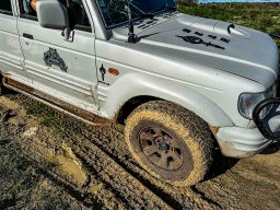 Veiculos Tácticos BEAR