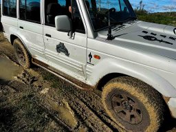 Veiculos Tácticos BEAR